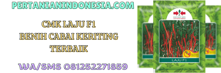 laju,f1,cmk laju,panah merah,cap panah merah,pertanian indonesia